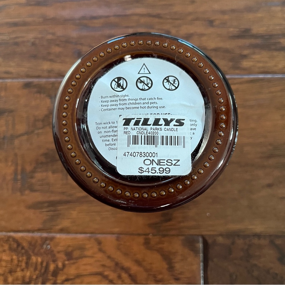 Target Brown Coastal Redwood Candle - Picture 3 of 3